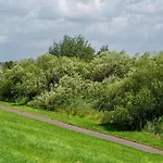 Apfelzauber Semesterbostad